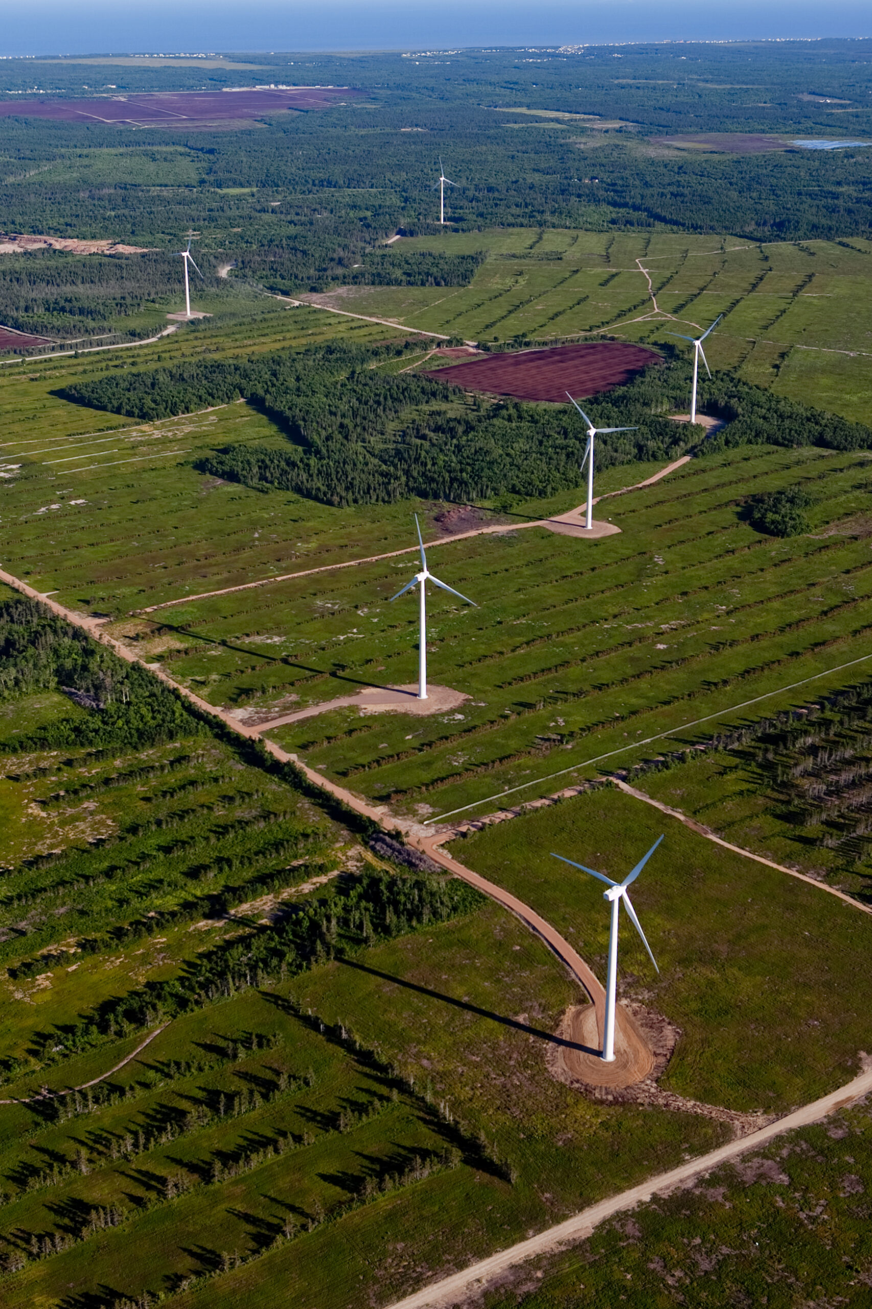 Les éoliennes de l'île Lamèque